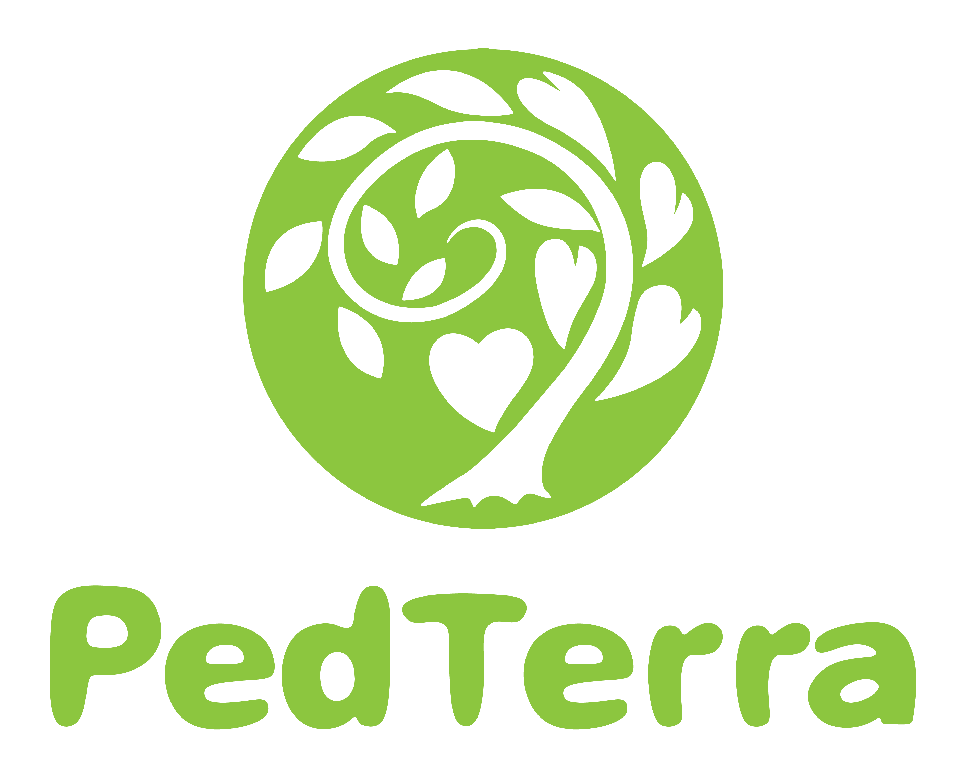PedTerra logo