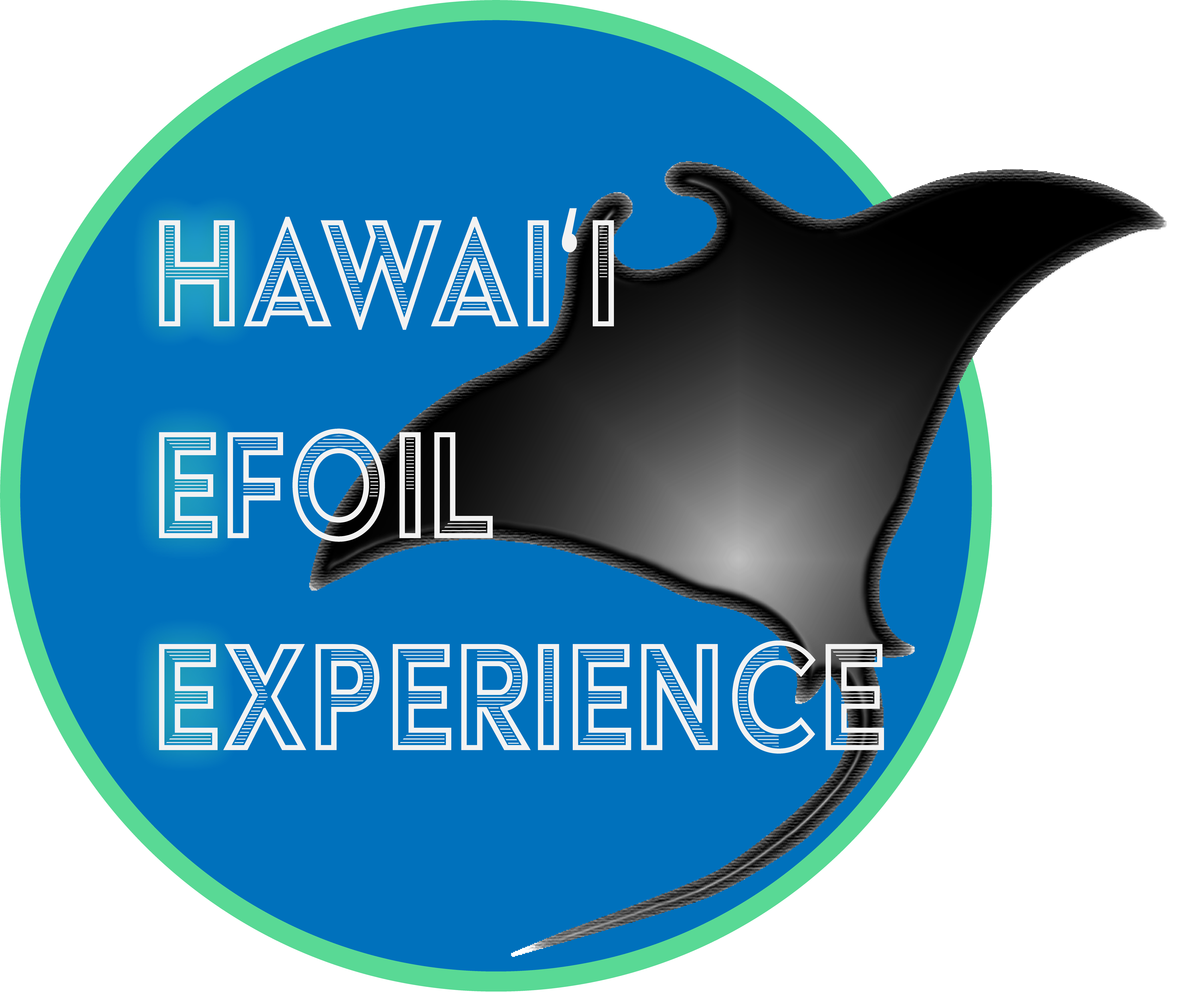 Hawaii Efoil Experience logo