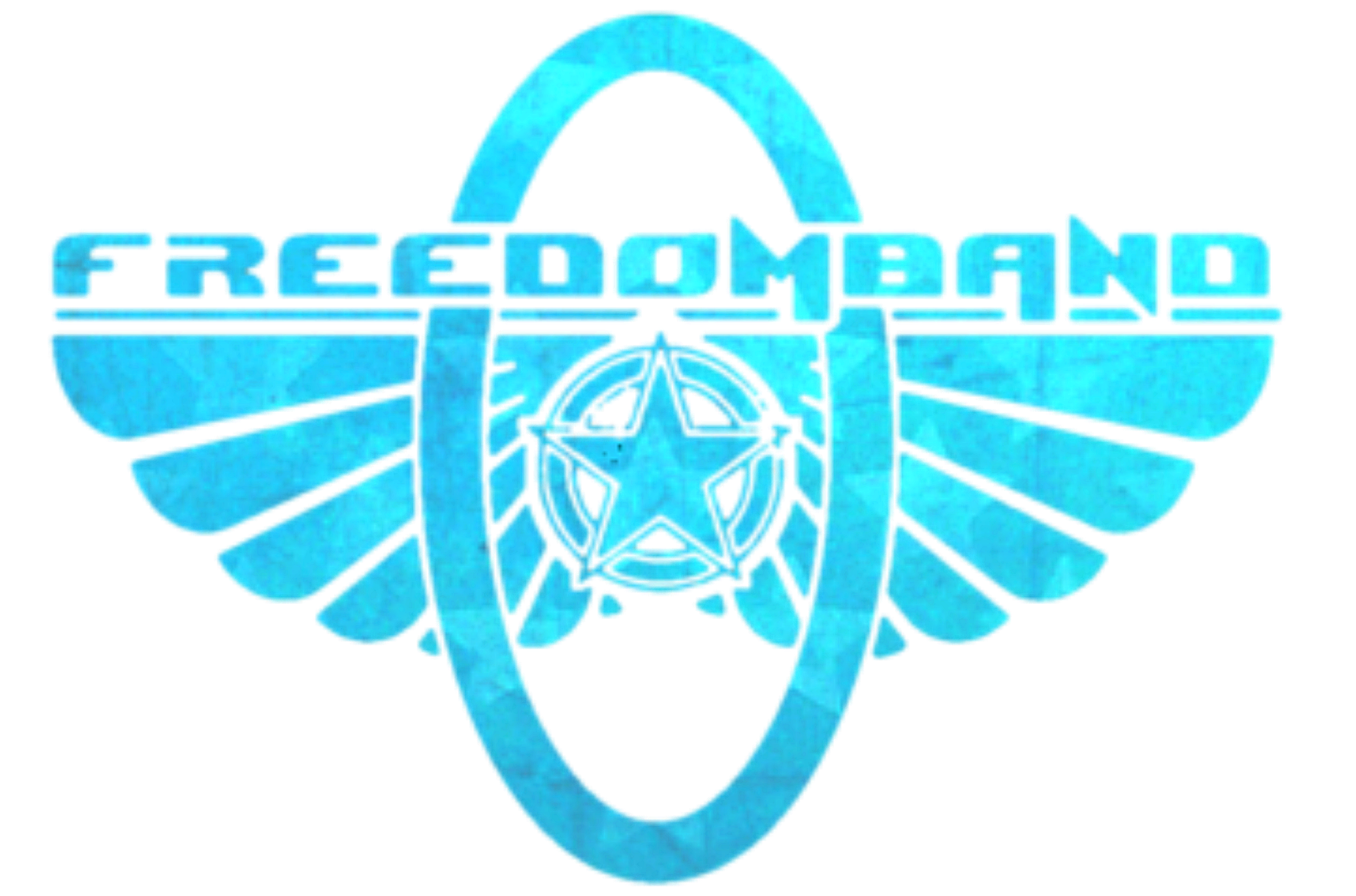 Freedom Bands For Diabetics logo