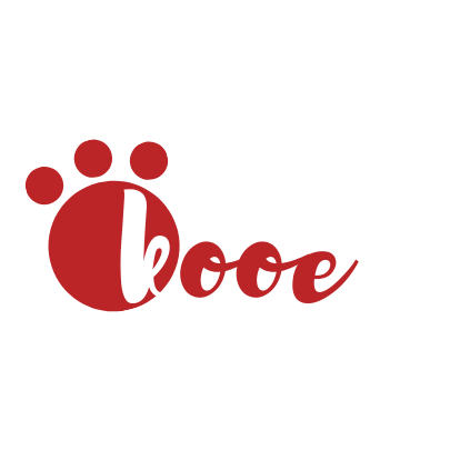 Kooe logo