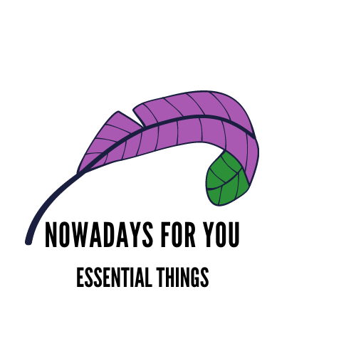 Nowadays For You logo