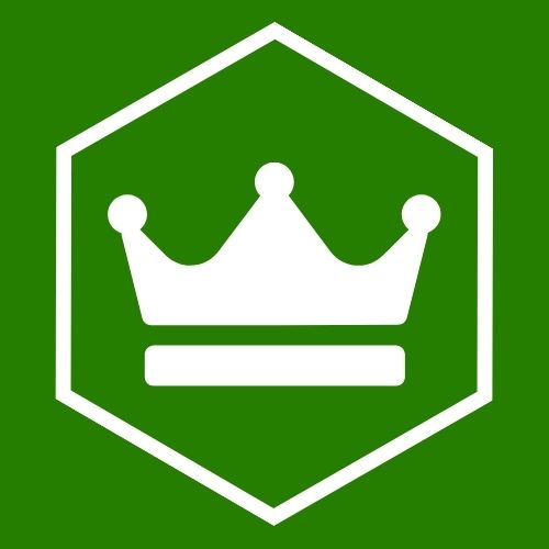 Roi du casse-tête logo