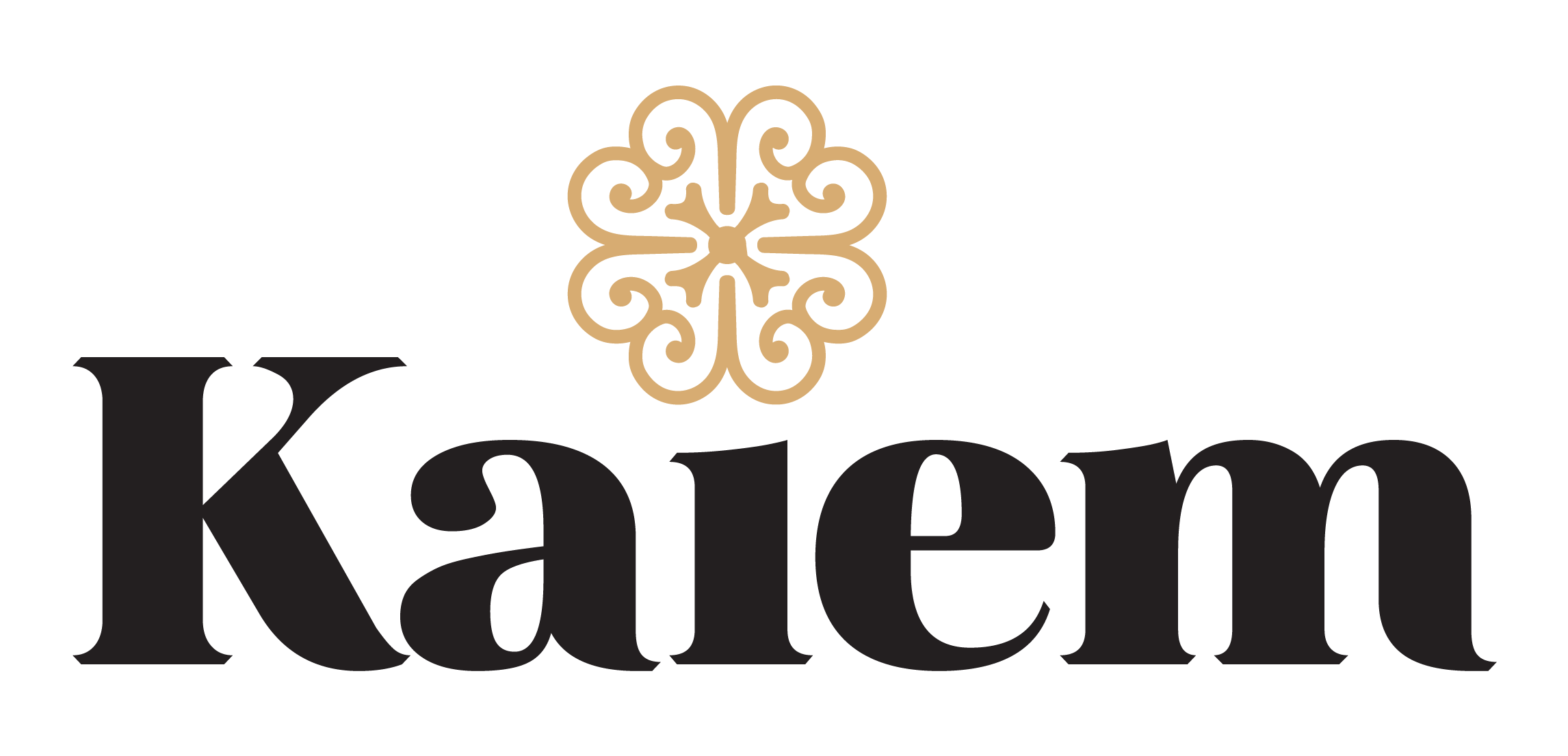 Kaiem logo