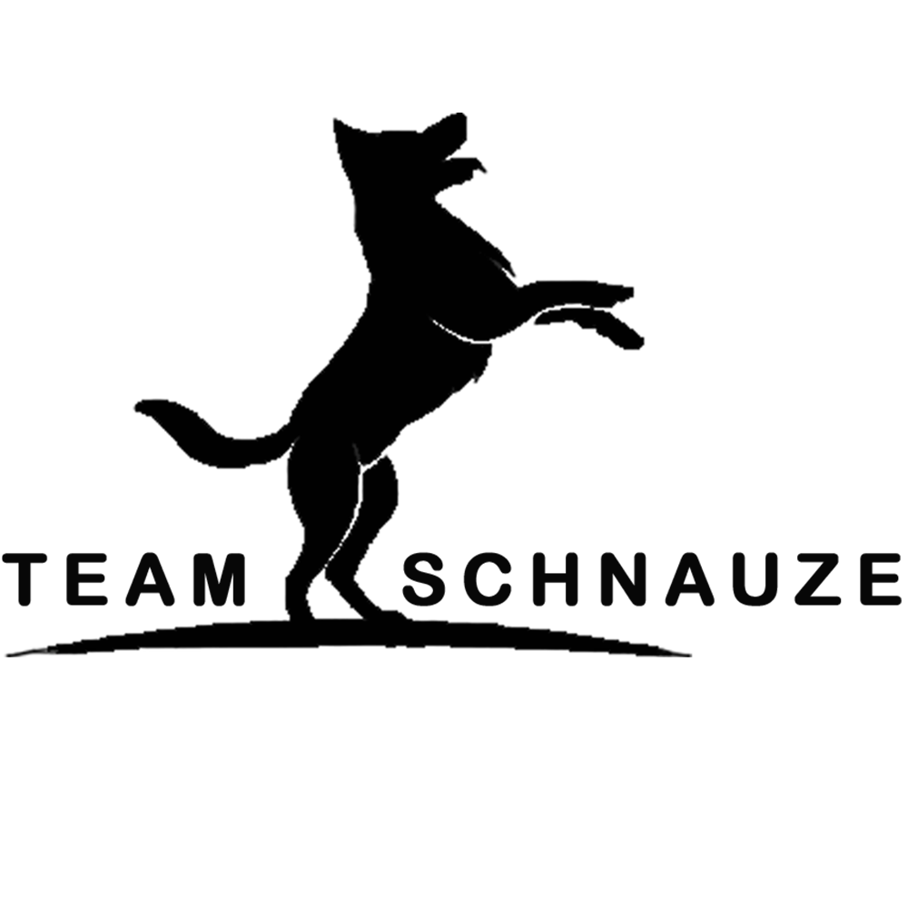 team-schnauze logo