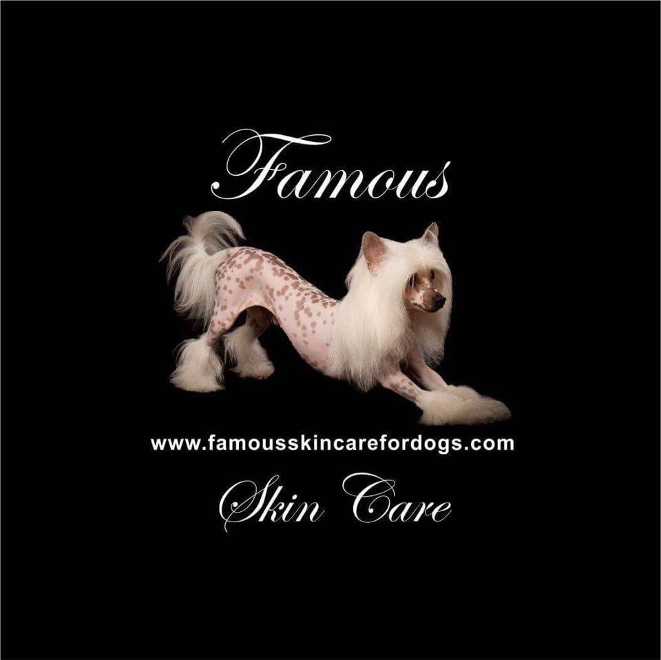 Famous Skin Care logo