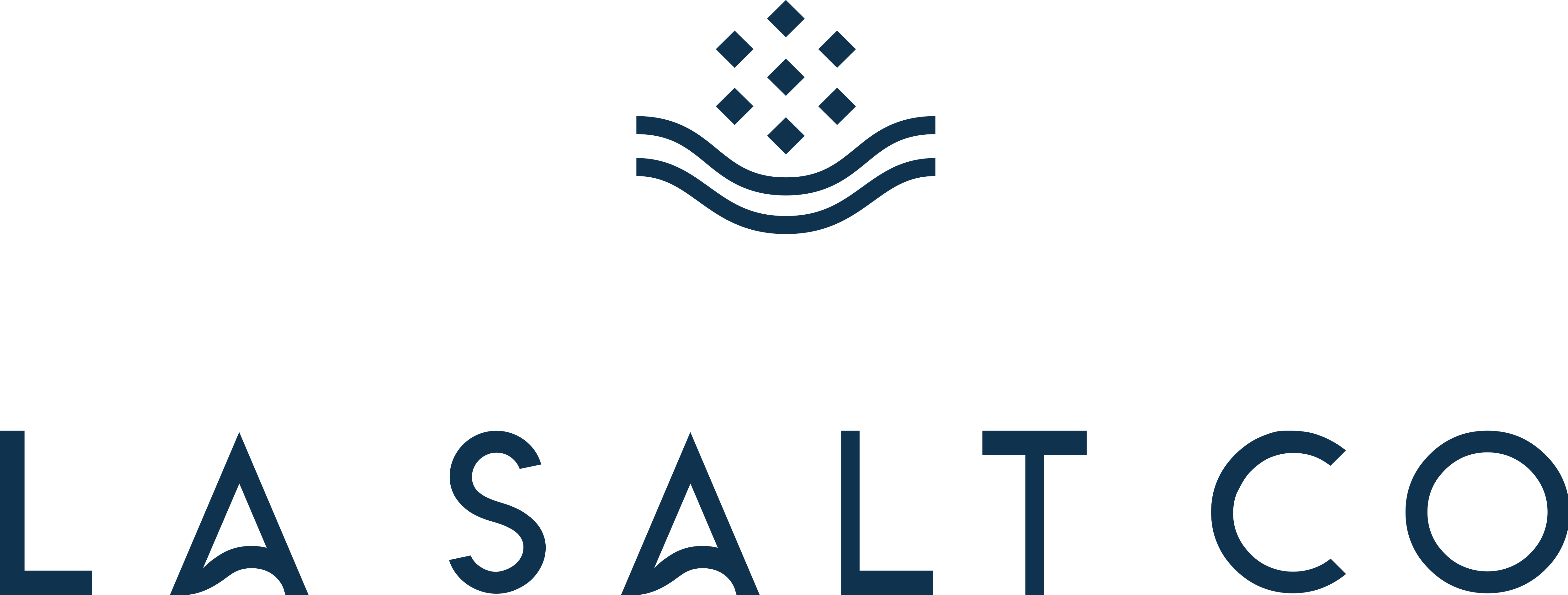 LA SALT CO Coupons and Promo Code