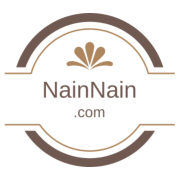 NainNain logo