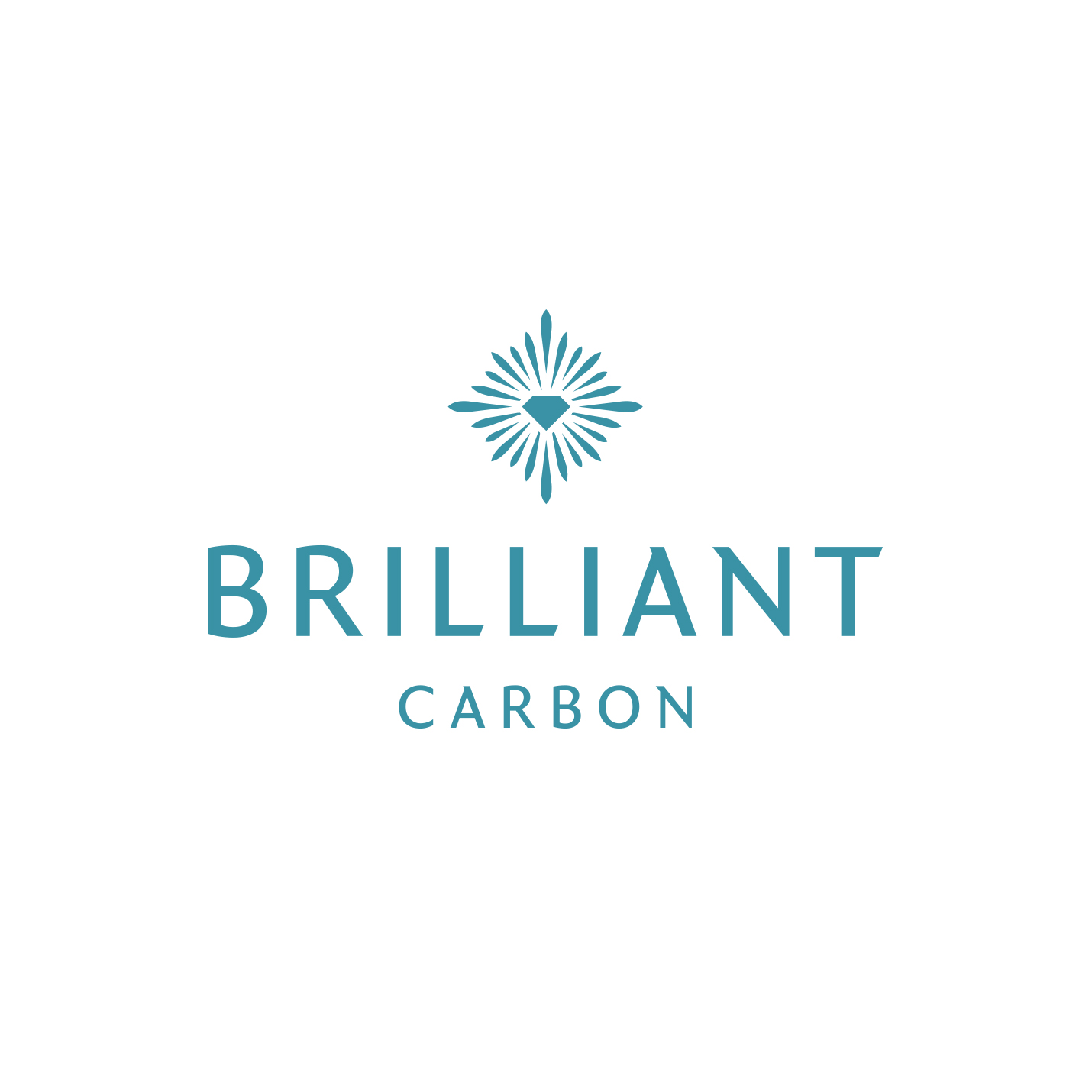 Brilliant Carbon Coupons and Promo Code