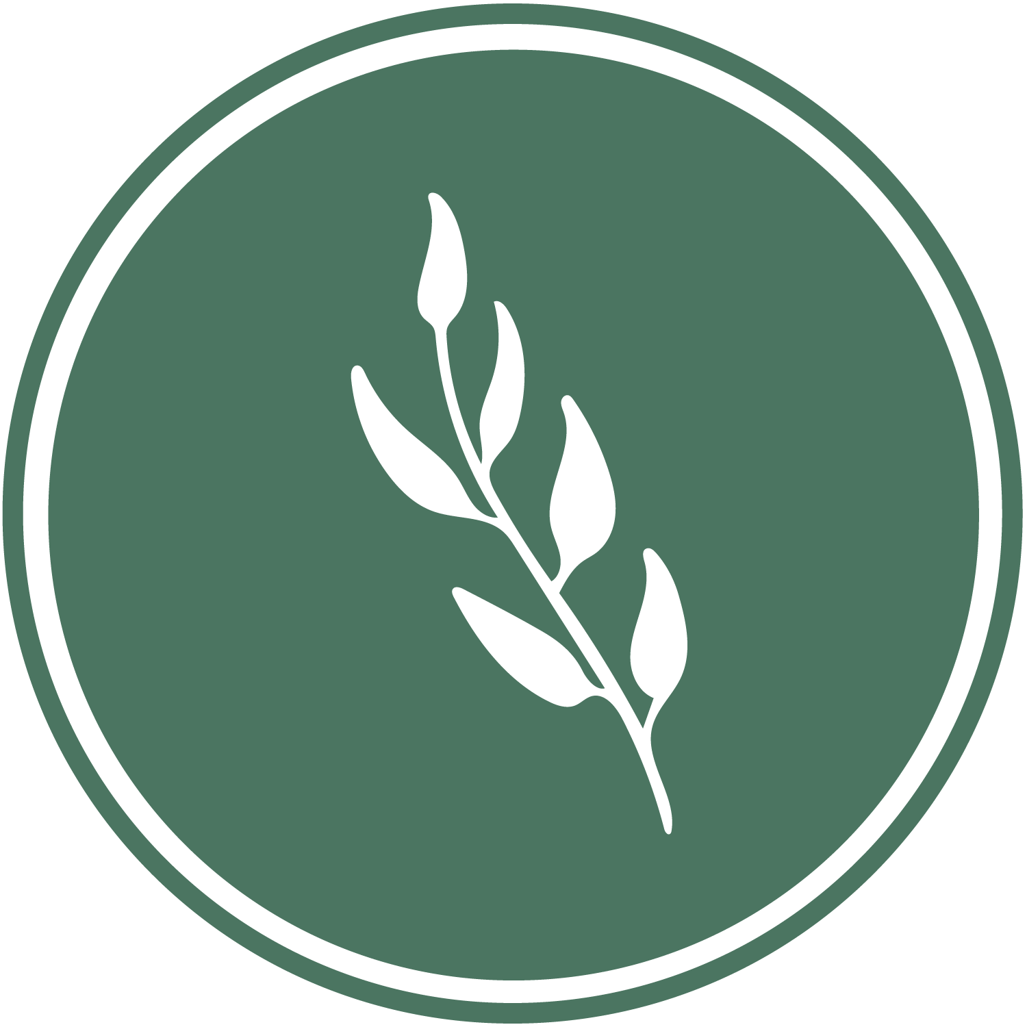 theplantnation logo