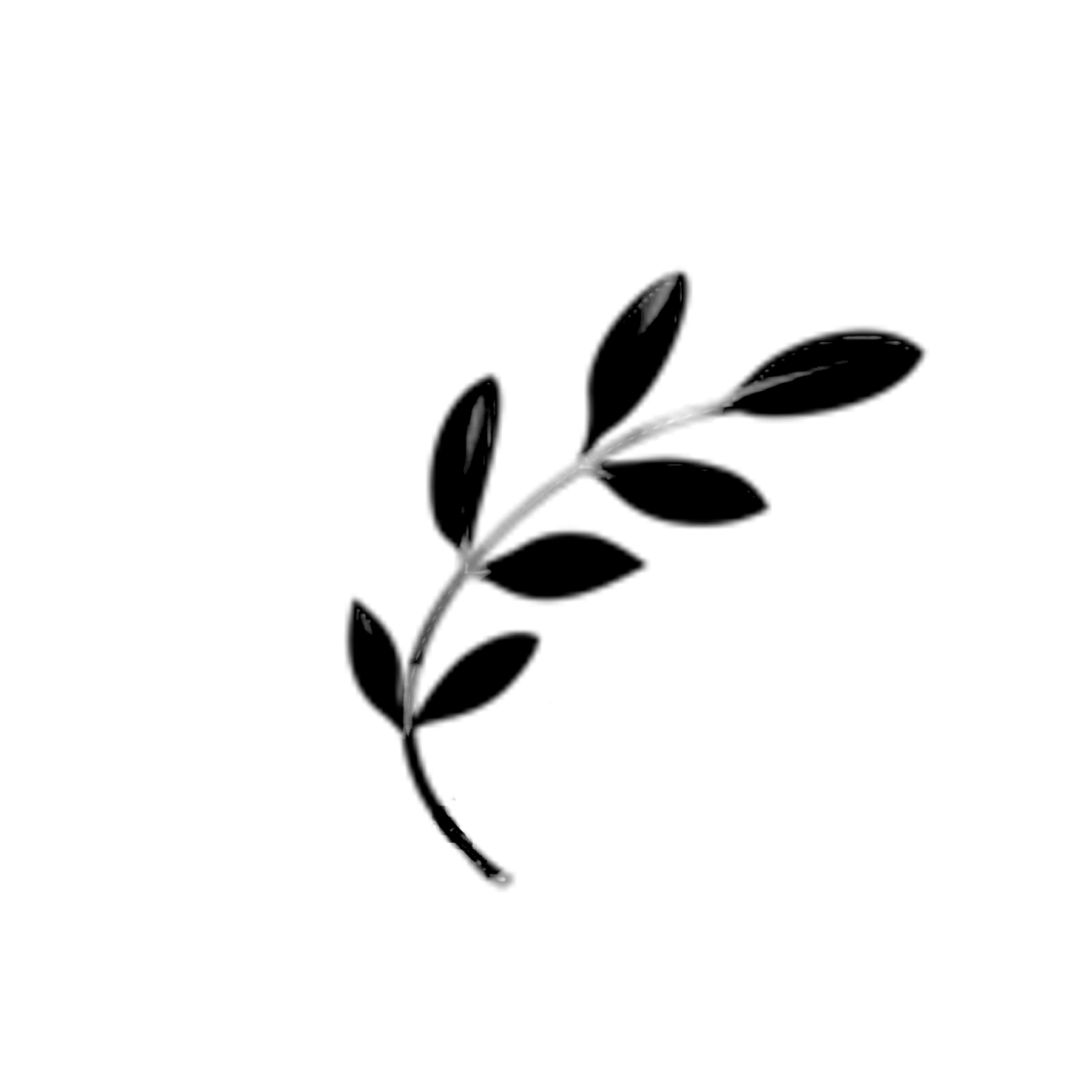 SOLOMÉ BEAUTY logo