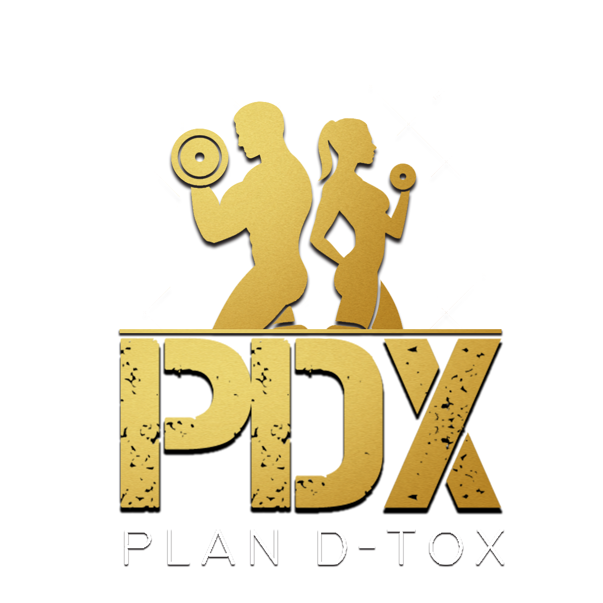Plan D Tox, LLC logo