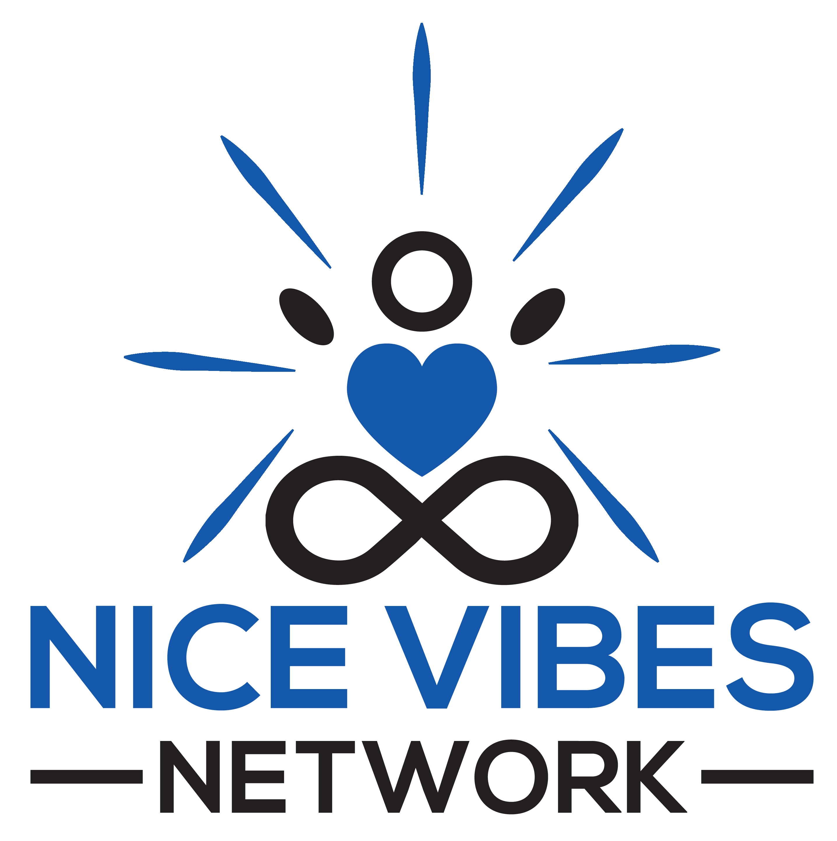 Nice Vibes Network logo