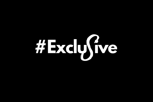 Exclusive Steering logo
