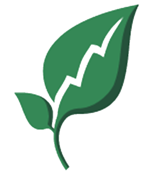 FX Seed logo