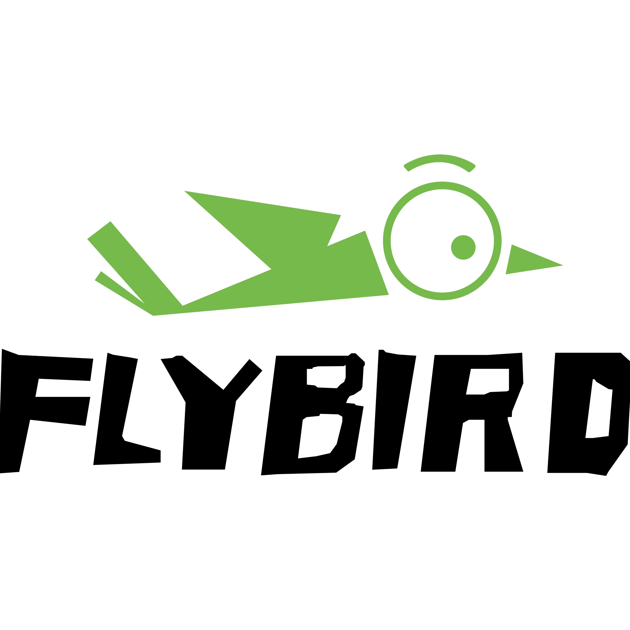 Flybird Fitness logo