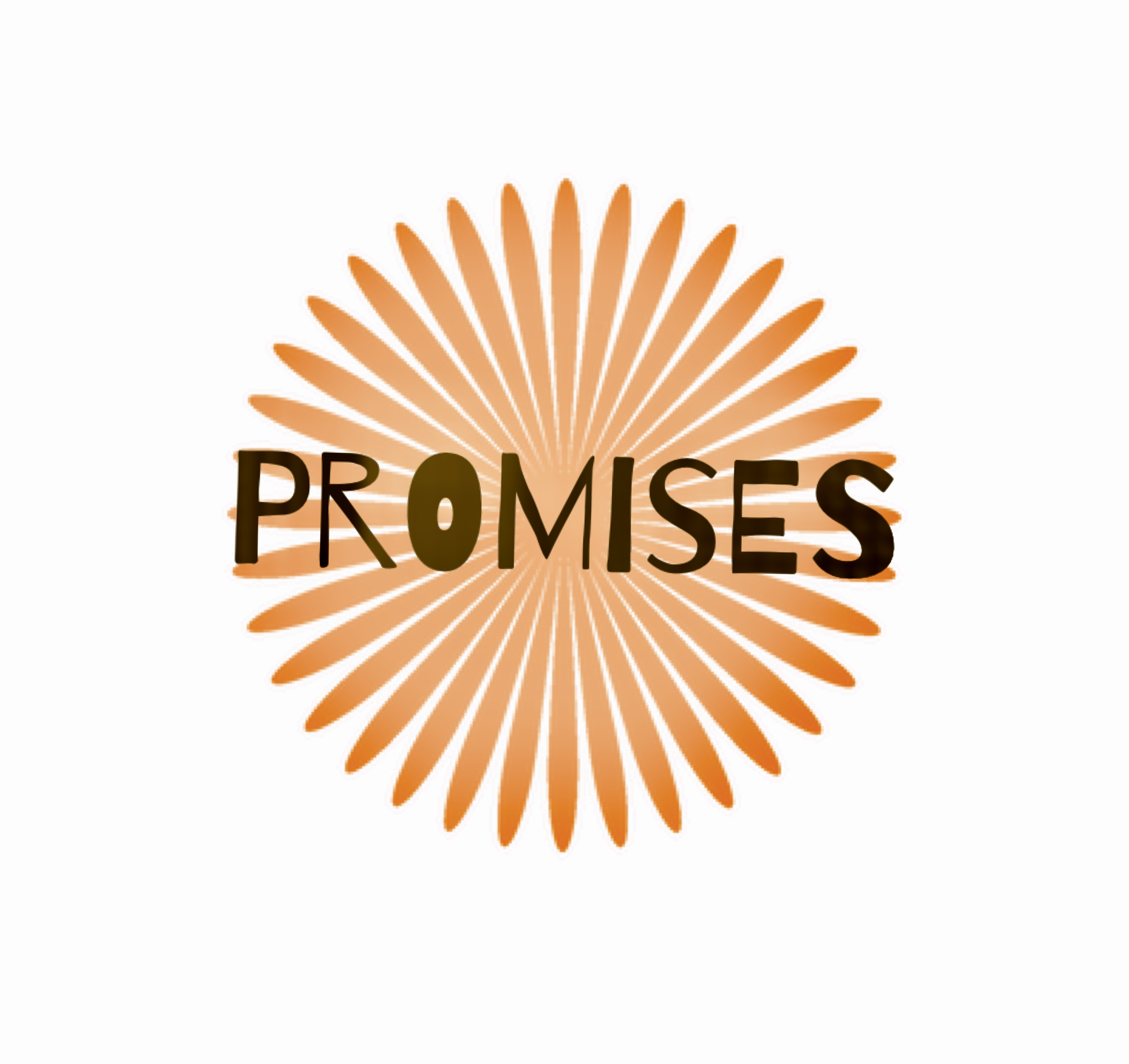 Promisestocare logo