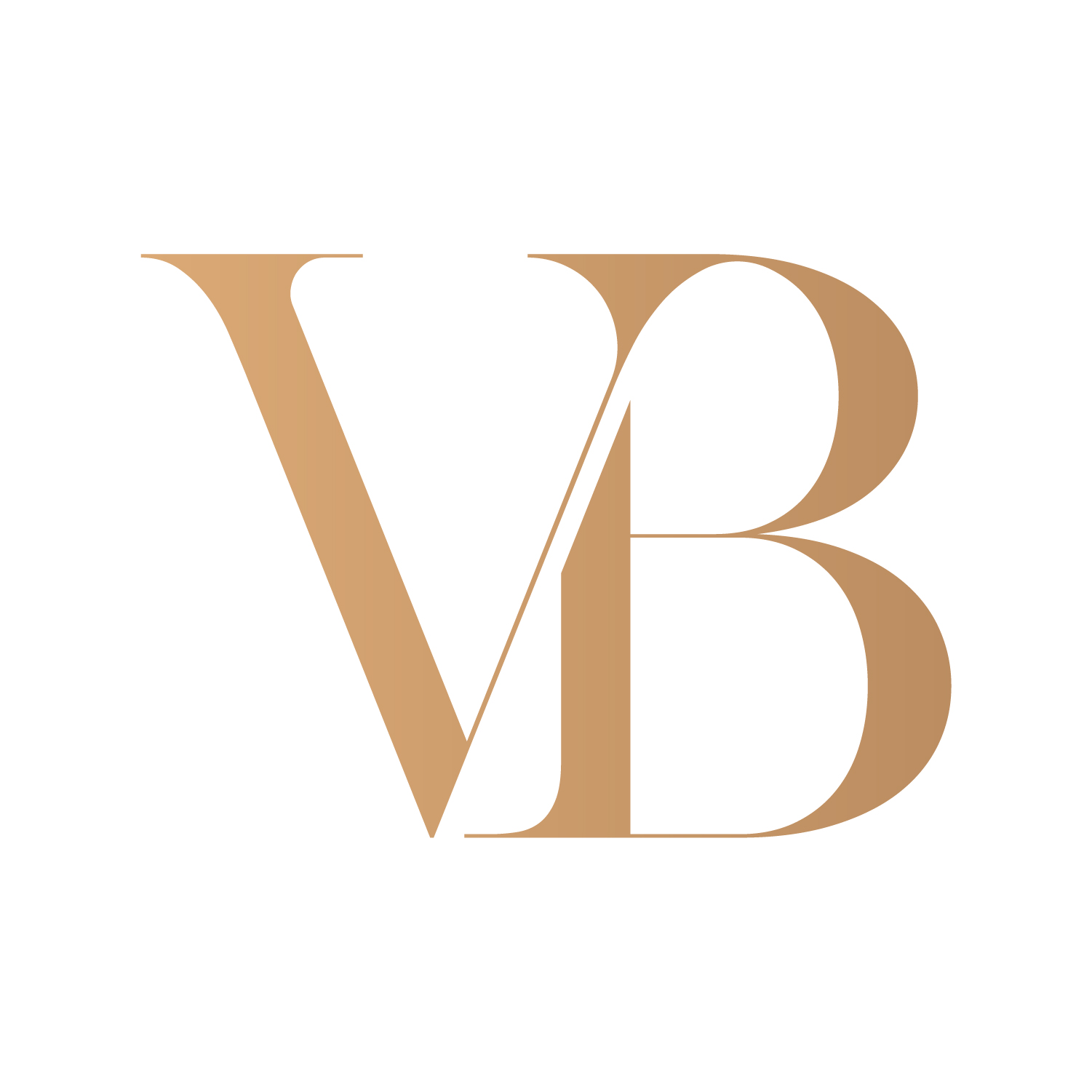 Venture Beaute logo
