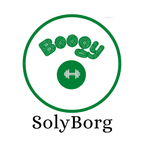 Soly.Borg logo