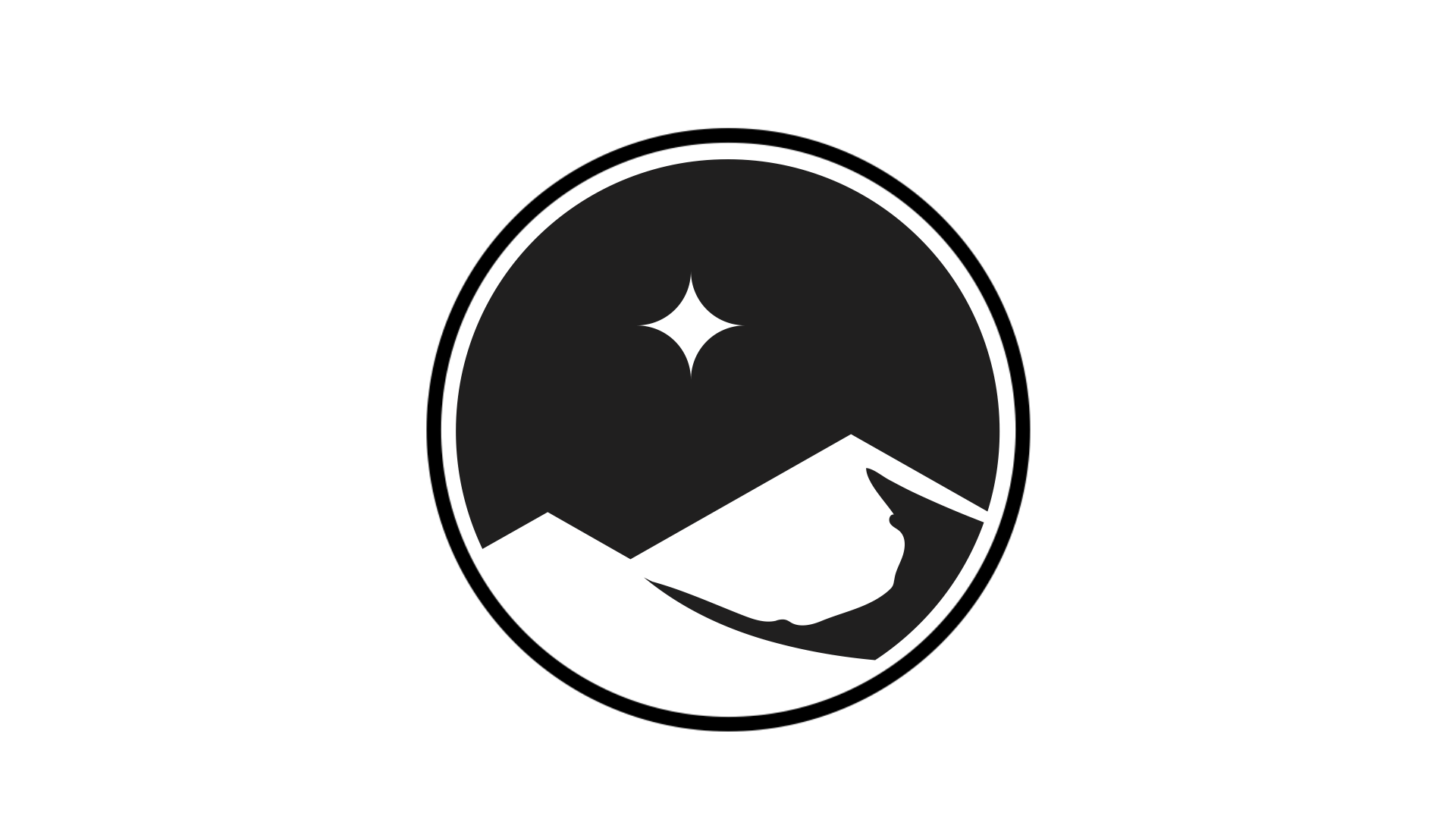 NORTH STAR SURVIVAL logo