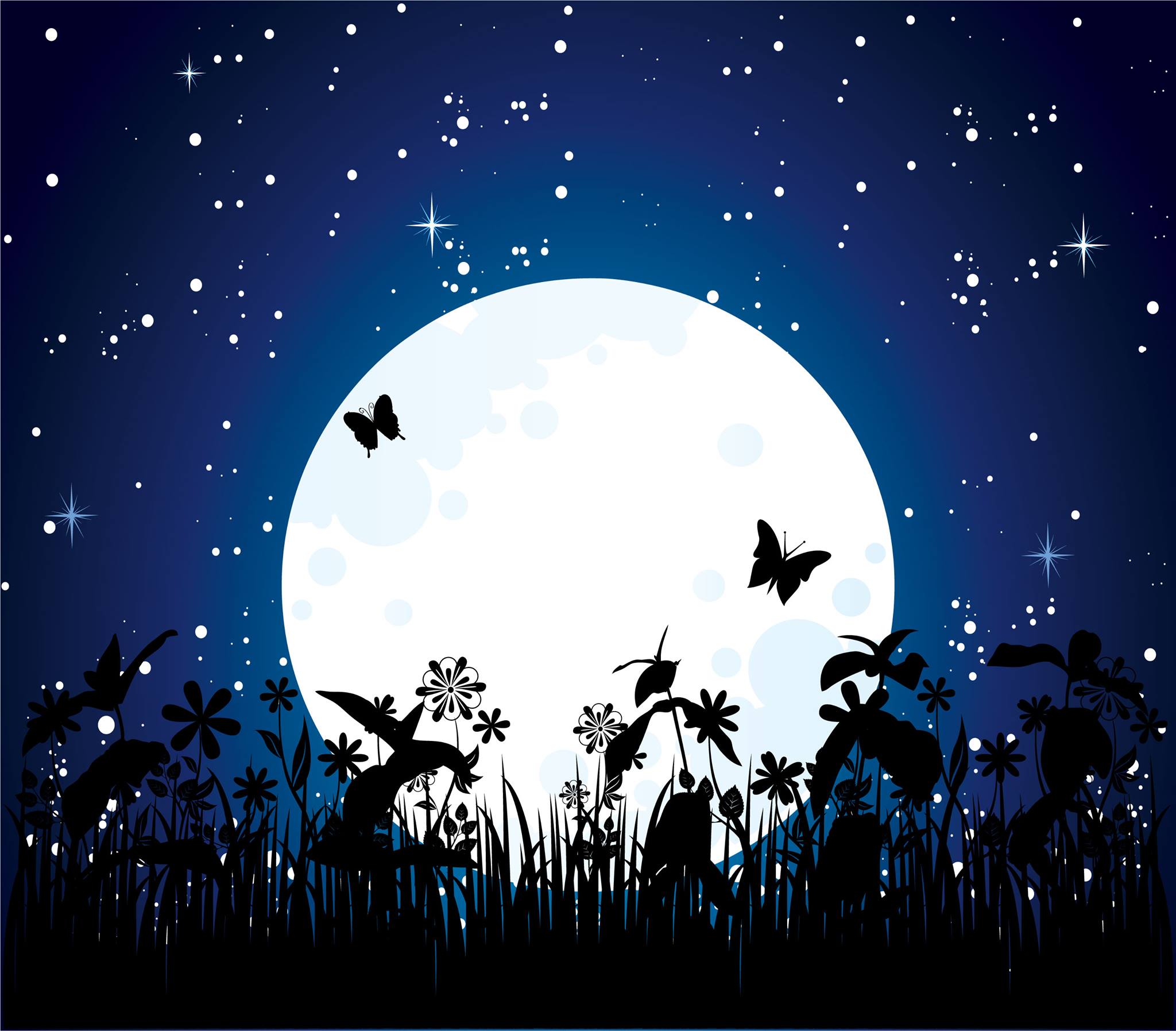 MoonButterfly & Water Goddess Spiritual Products