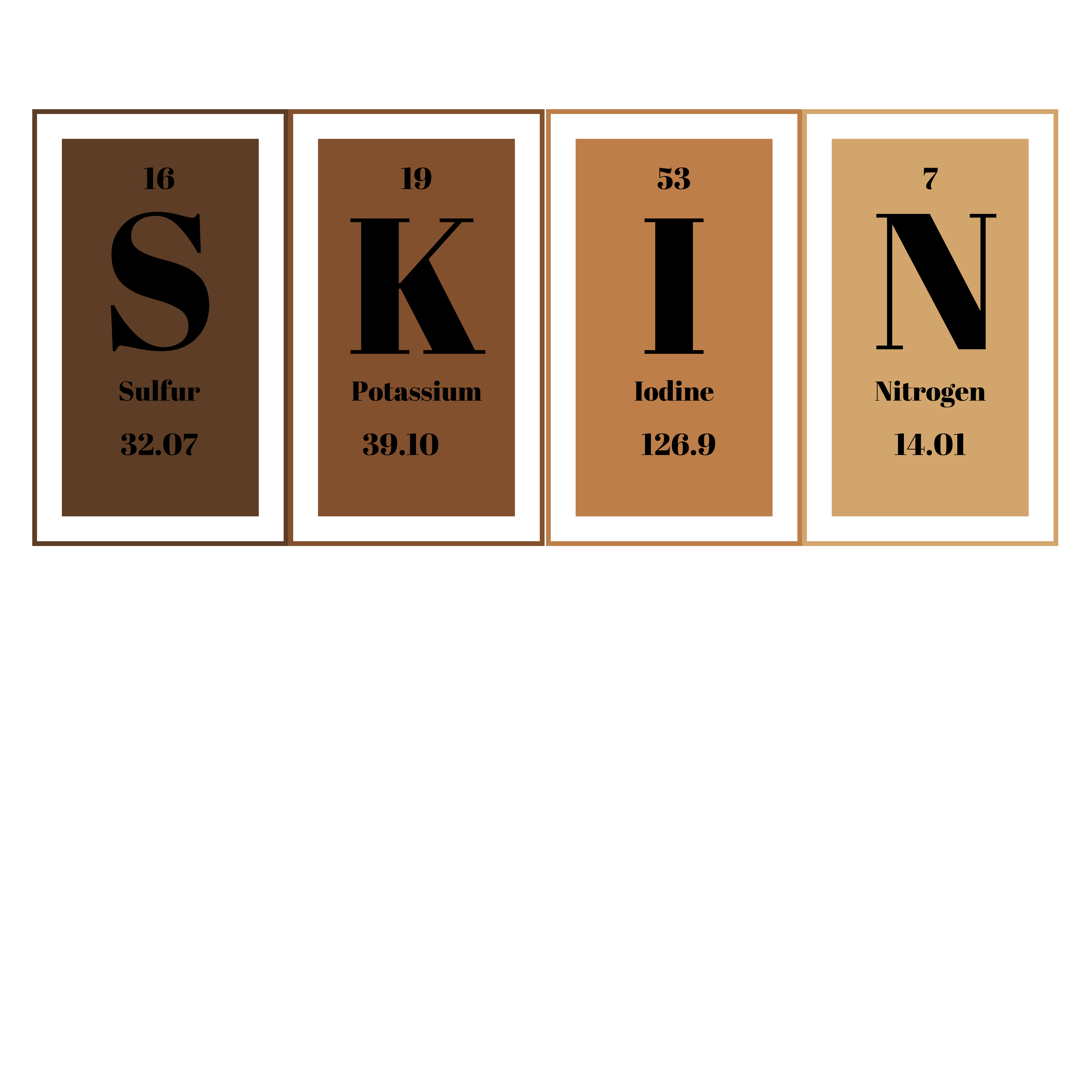 SKIN by Chi logo