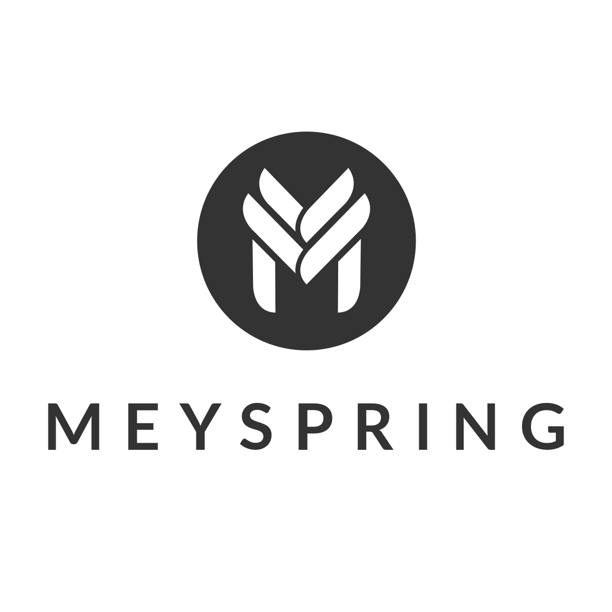 MEYSPRING logo
