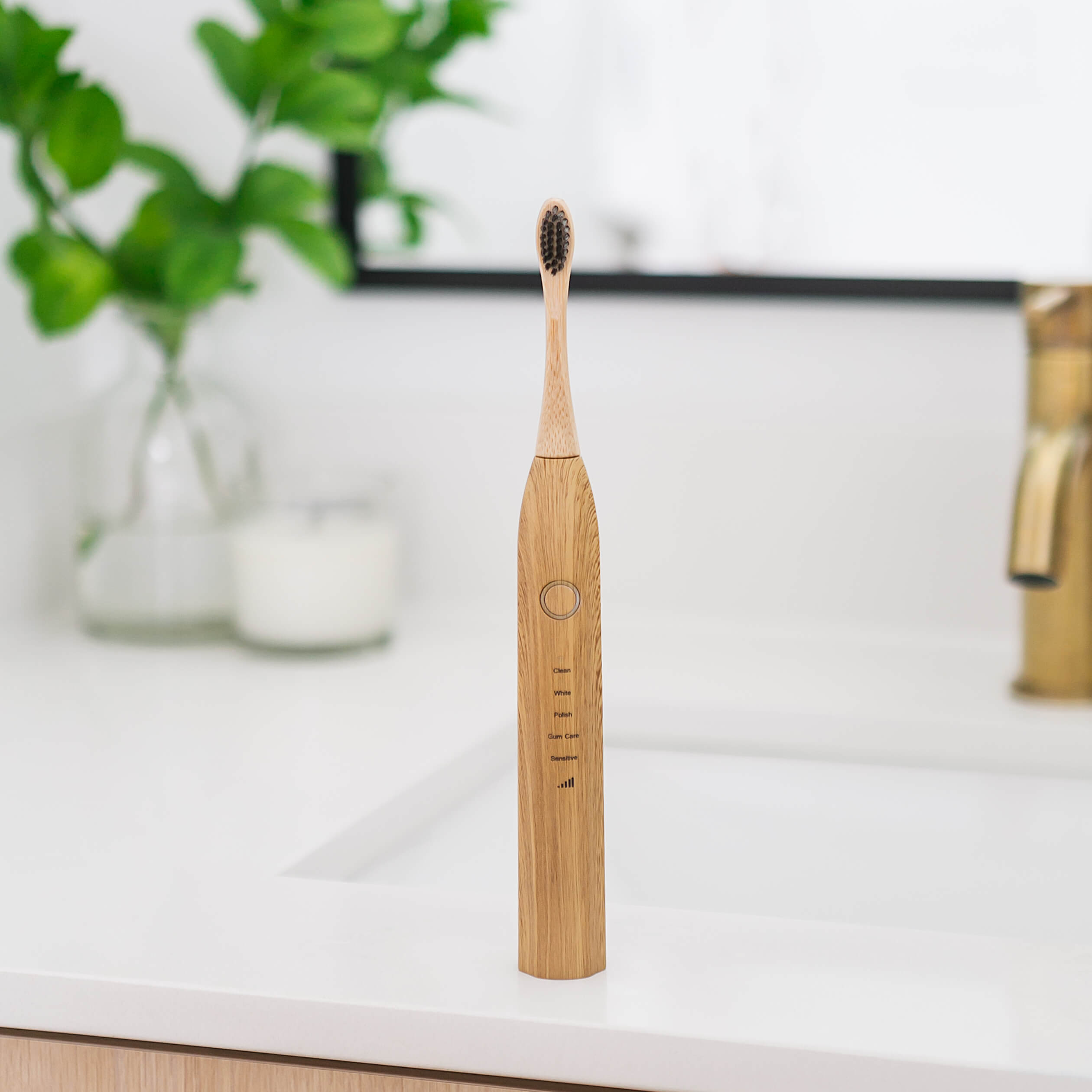 Sustainable Tomorrow Electric Bamboo Toothbrush