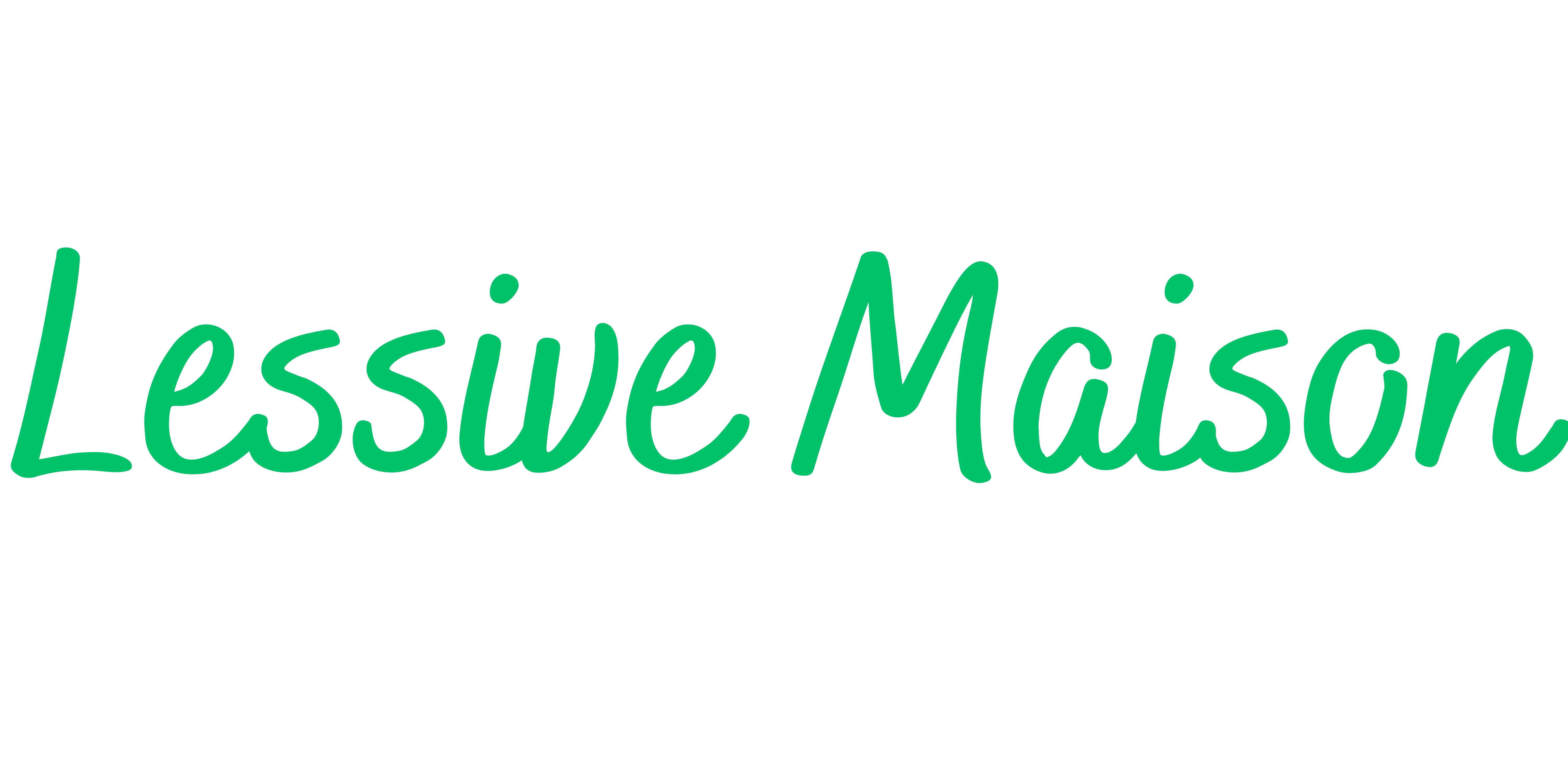 Lessive Maison logo