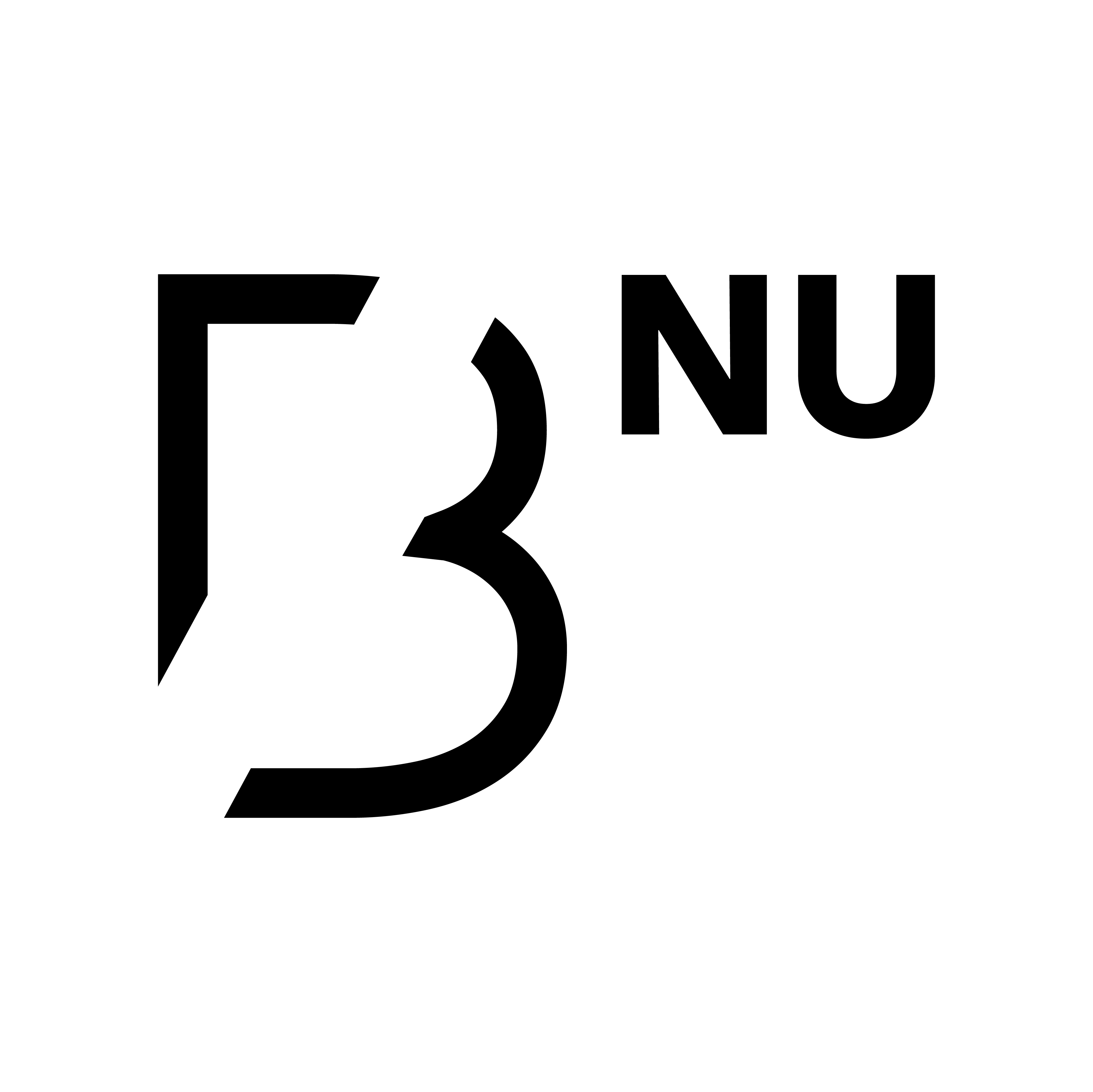 B//NU PERFORMANCE GmbH  logo