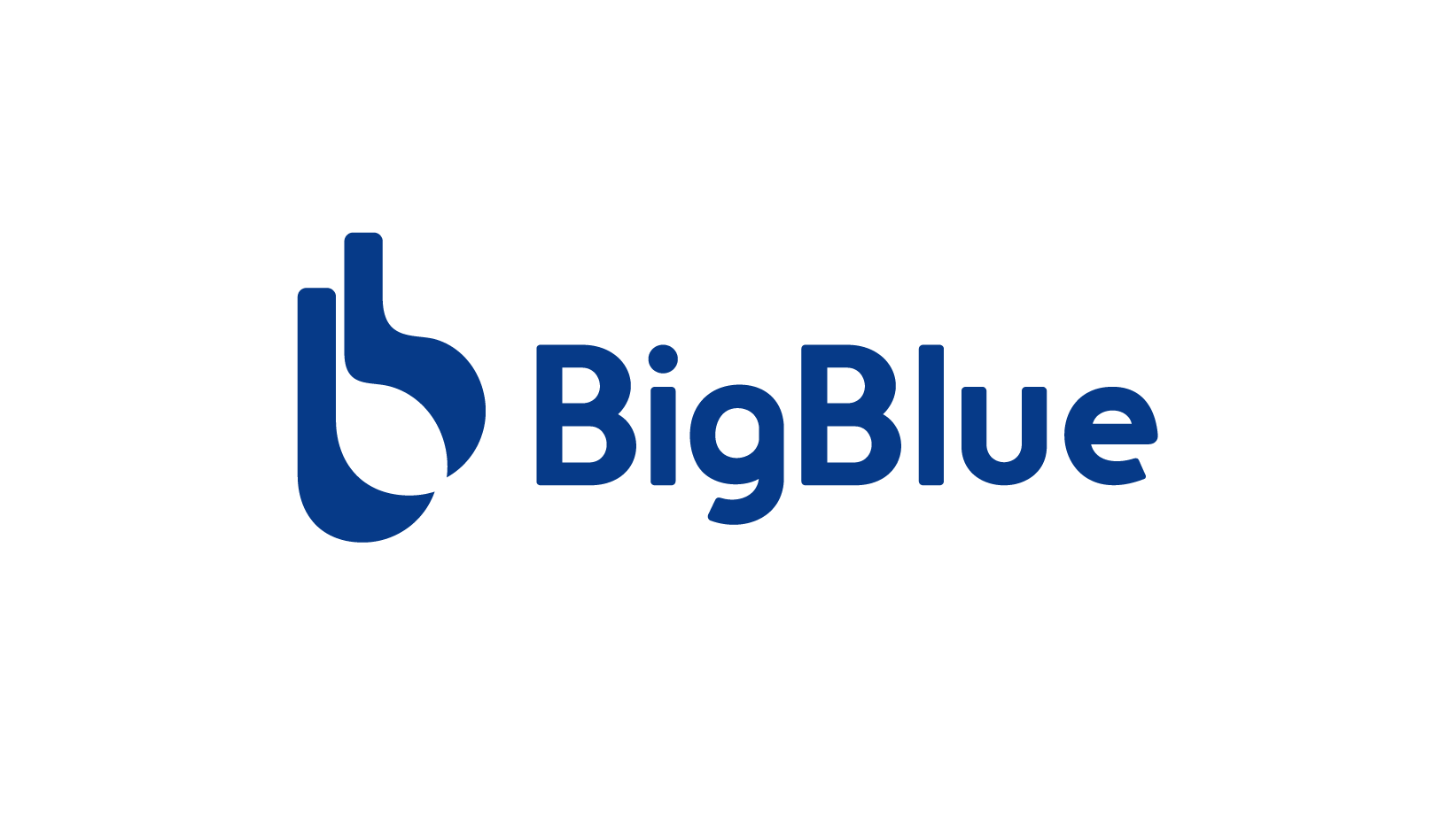 BigBlue Official Store logo