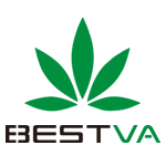 BESTVALED Coupons and Promo Code