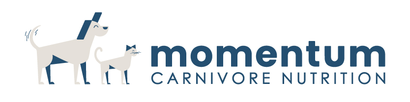 MomentumCN logo