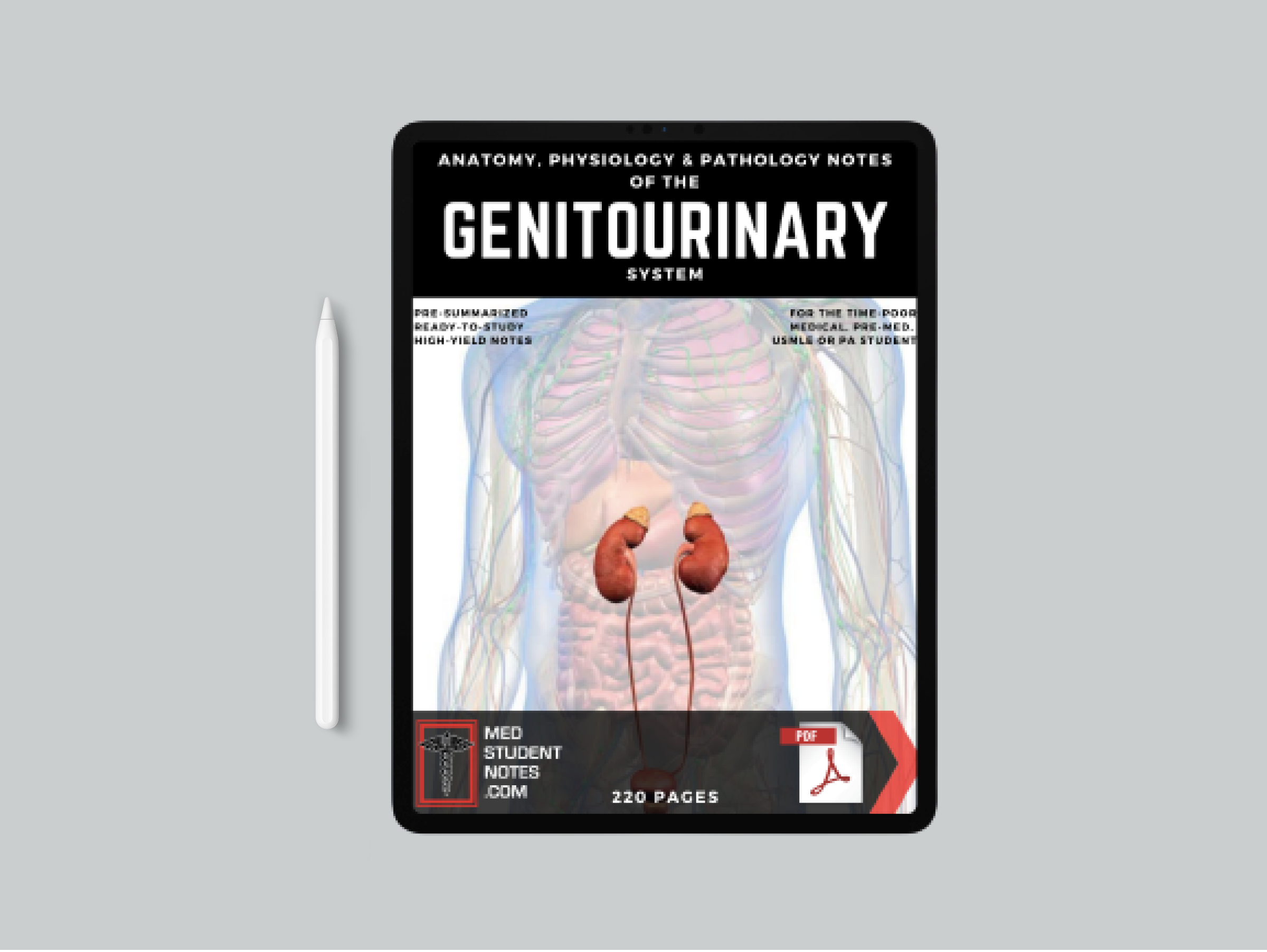 Genitourinary Notes