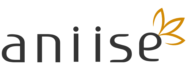 Aniise Coupons and Promo Code