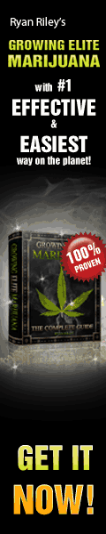 Growing Elite Marijuana guide advertisement
