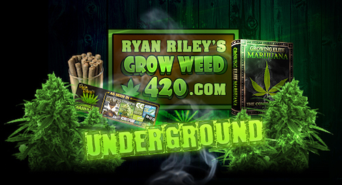 Ryan Riley's Elite Garden logo