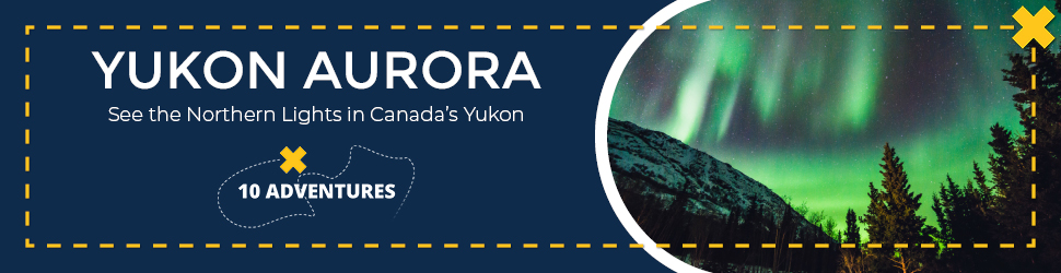 Yukon's Northern Lights Tour