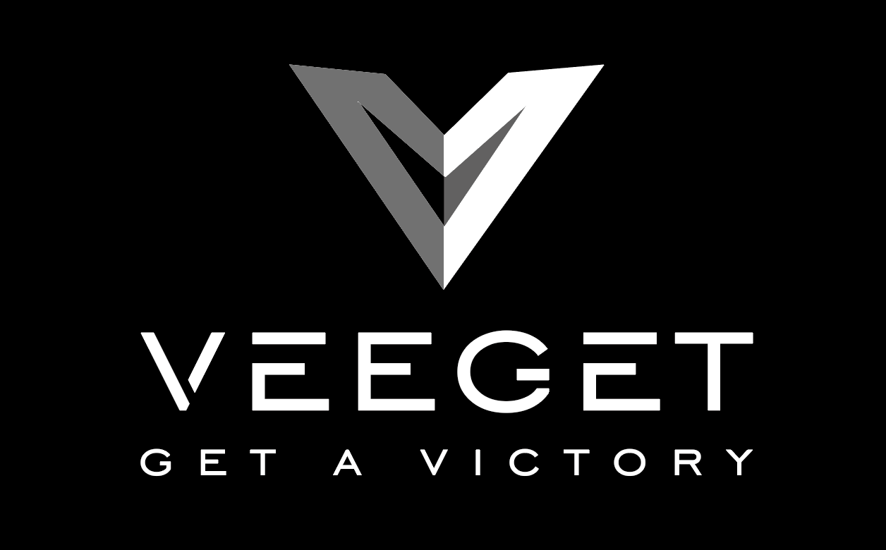 VeeGet logo