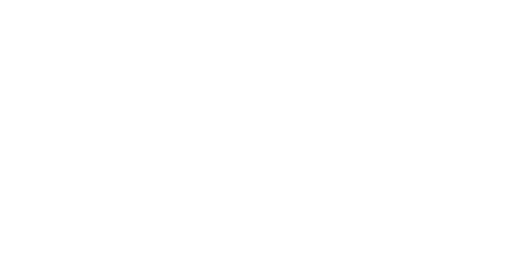 BHELMI logo
