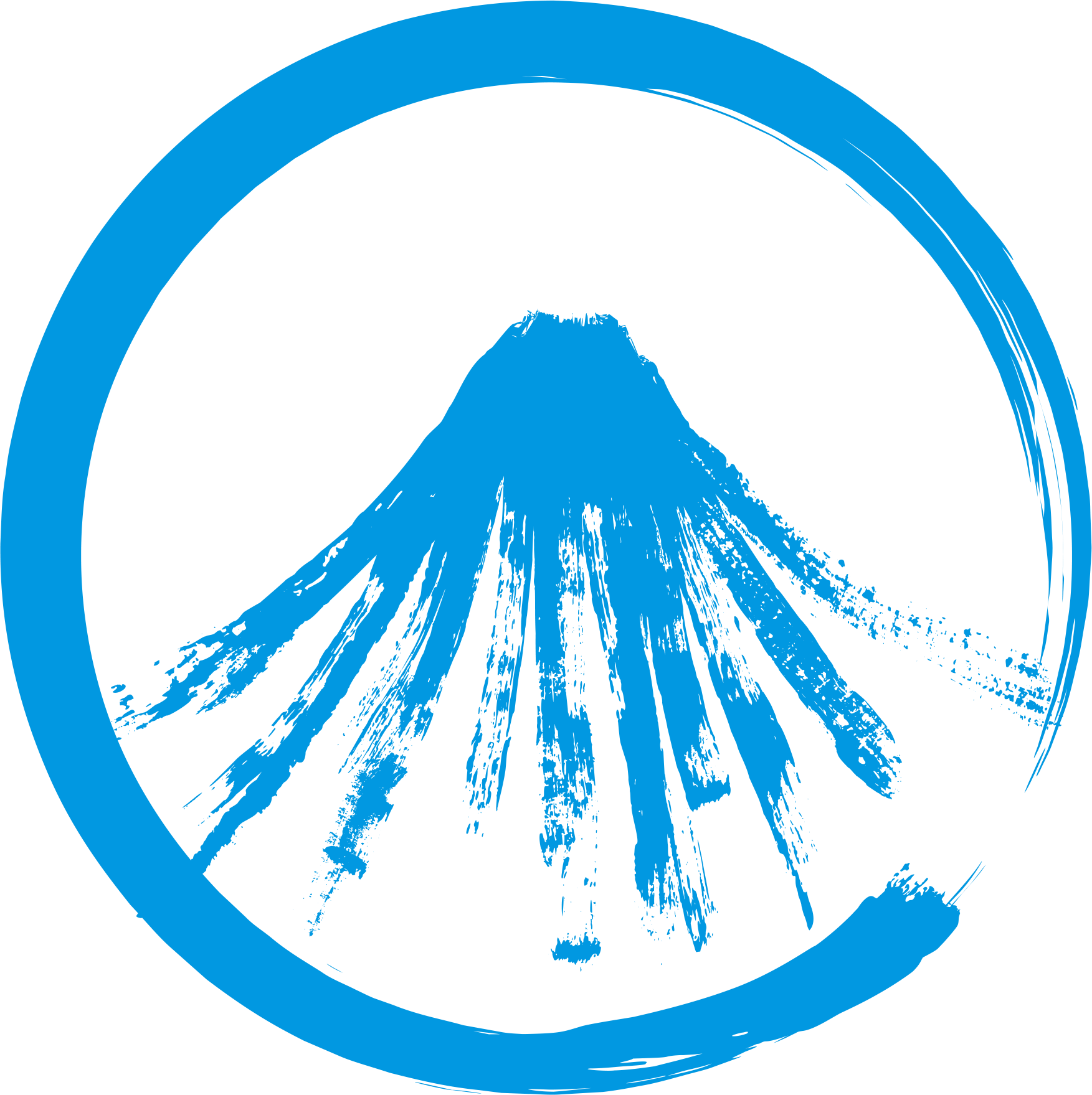 Chilly Mountain logo