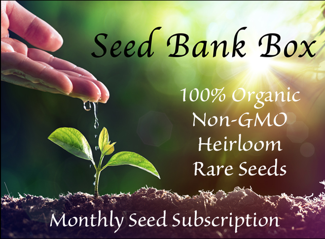 seedbankbox logo
