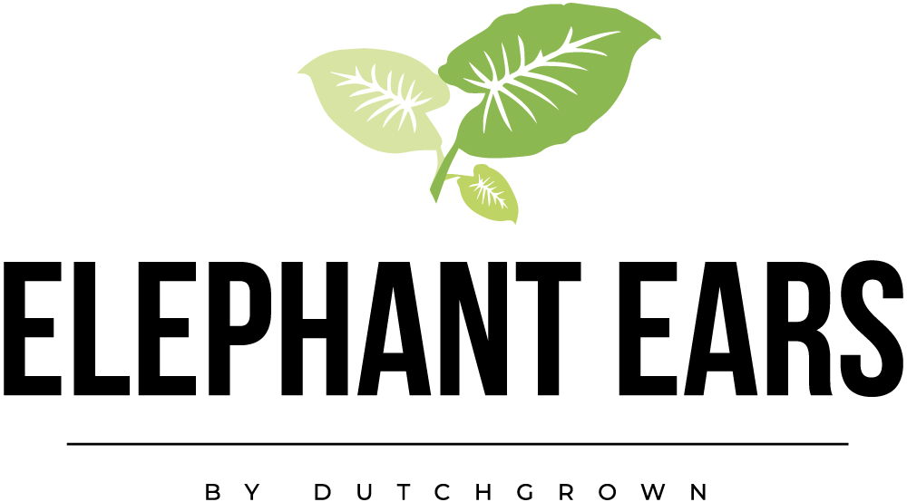 Elephant Ears by DutchGrown™ logo