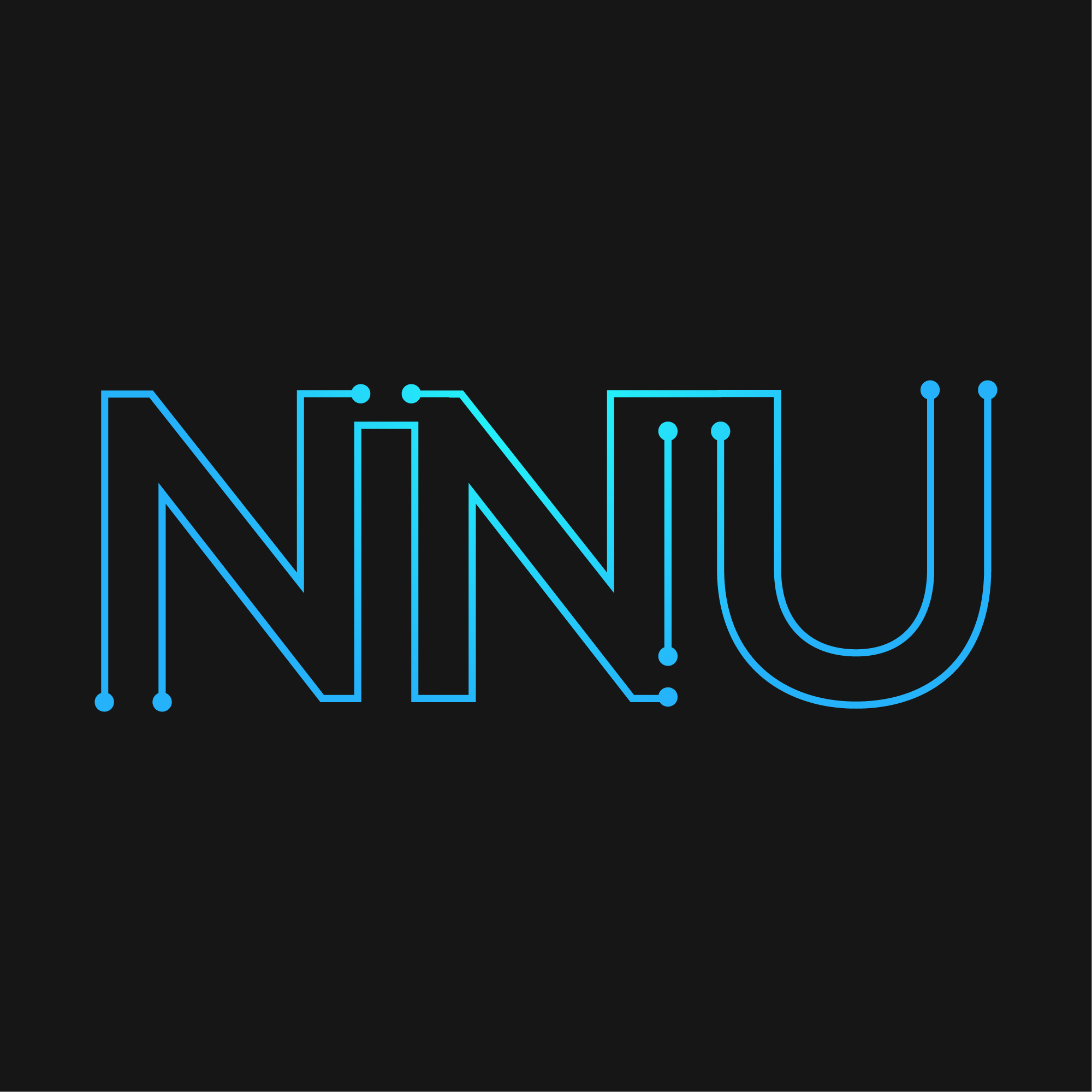 NNU Systems