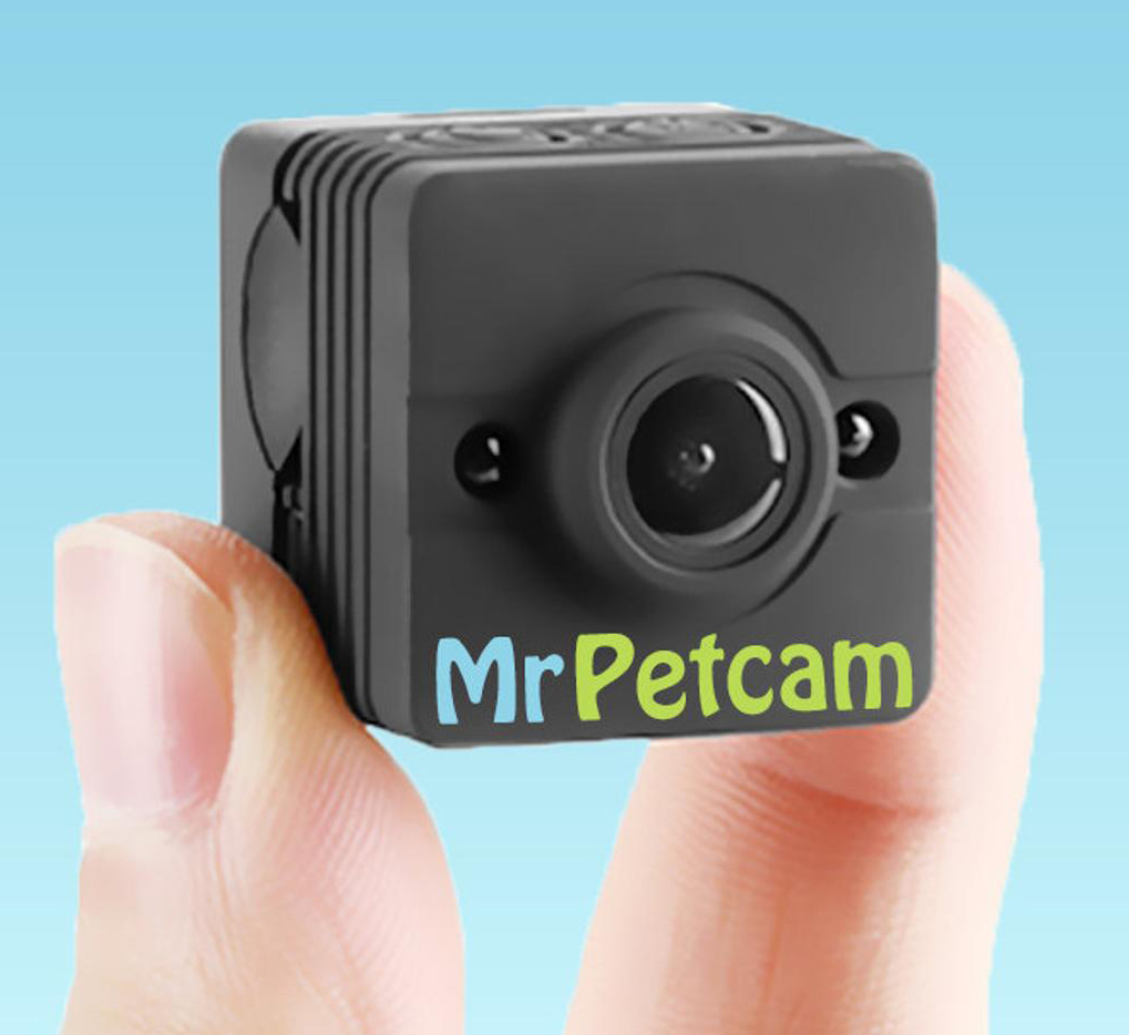 Mr Petcam