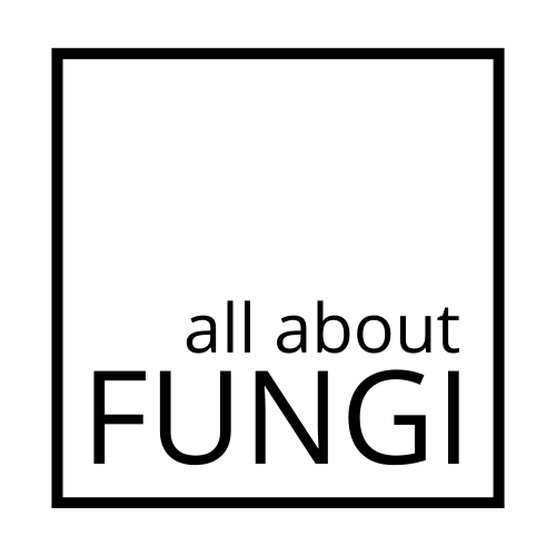 all about FUNGI logo