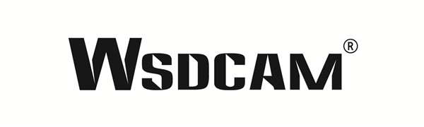 Wsdcam logo