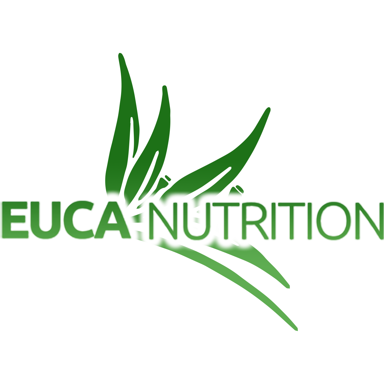 Euca Nutrition - Muscle & Fitness Supplements Australia logo