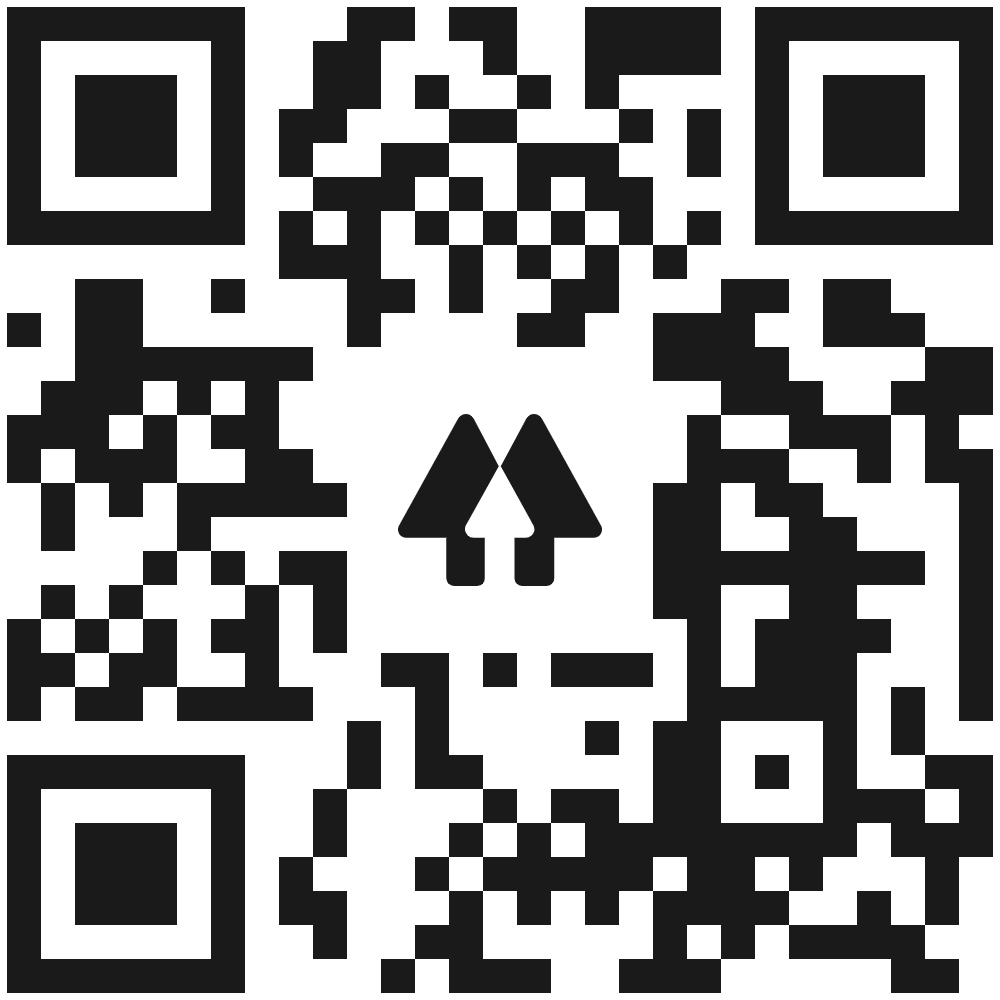 NSG3 Gear & Custom Designs logo