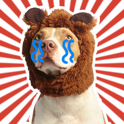 You can't bring it with you