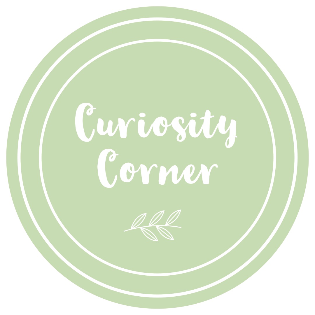 Curiosity Corner logo